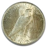 1923 Peace Dollar MS-62 PCGS (VAM-1A, Whisker Jaw, Top-50)