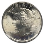 1923 Peace Dollar MS-66+ NGC