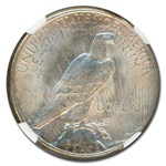 1923-S Peace Dollar MS-61 NGC