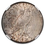 1923-S Peace Dollar MS-62 NGC (Toned)