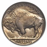 1924 Buffalo Nickel MS-64 NGC