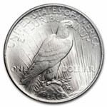 1924 Peace Dollar MS-64 PCGS