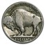 1924-S Buffalo Nickel Fine