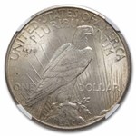 1924-S Peace Dollar MS-62 NGC