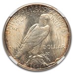 1924-S Peace Dollar MS-64 NGC