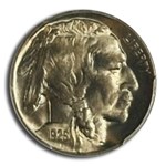 1925 Buffalo Nickel MS-66 PCGS