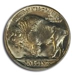 1925 Buffalo Nickel MS-66 PCGS