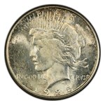 1925-S Peace Dollar MS-64+ PCGS