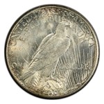 1925-S Peace Dollar MS-64+ PCGS