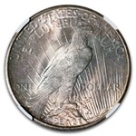 1925-S Peace Dollar MS-65 NGC
