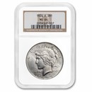 1926-D Peace Dollar MS-64 NGC