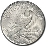 1926 Peace Dollar BU Details (Cleaned)