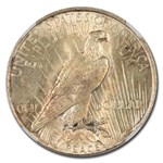 1927-D Peace Dollar AU-58 NGC