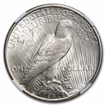 1927-D Peace Dollar MS-63 NGC