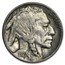 1928 Buffalo Nickel AU