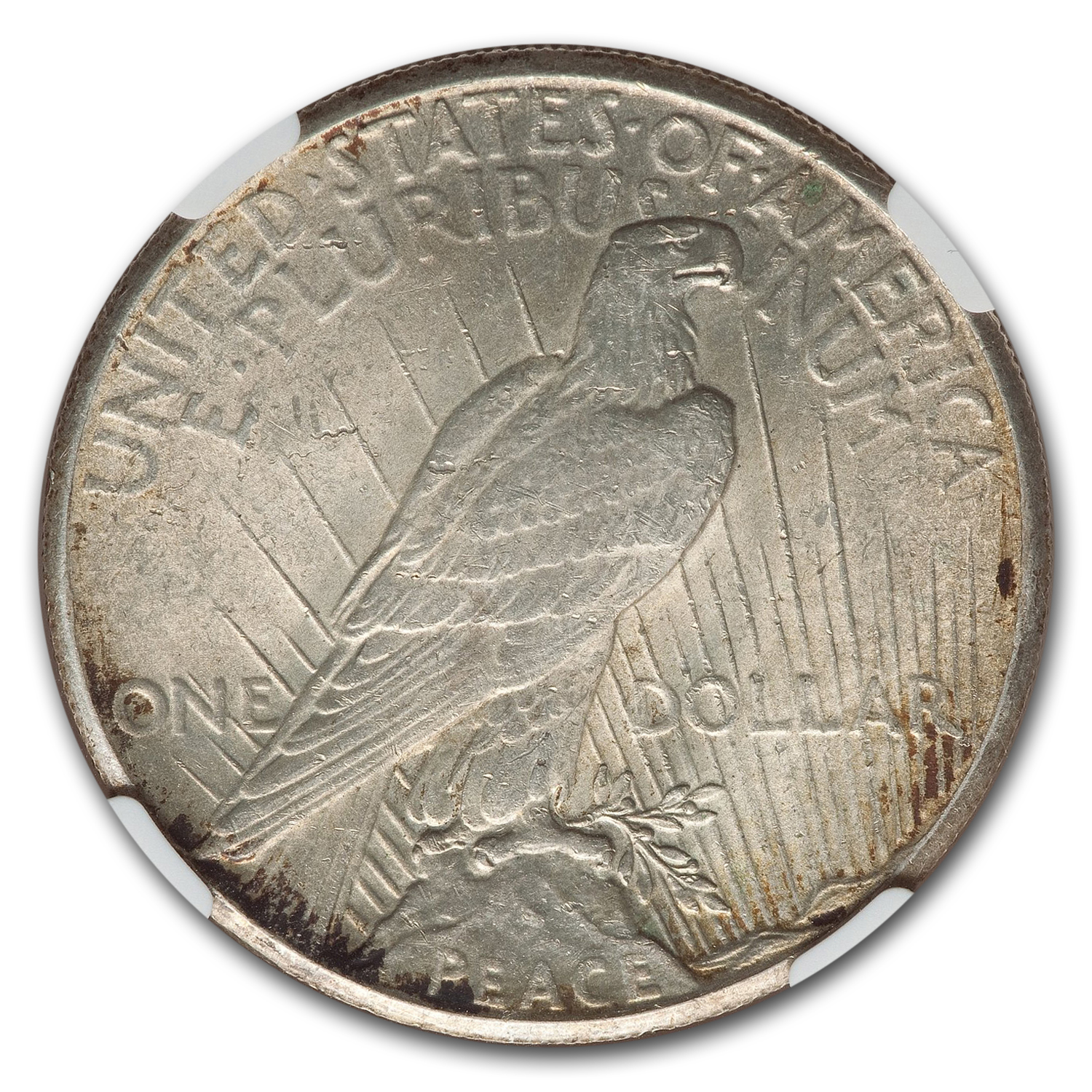Buy 1928 Peace Dollar MS-62 NGC | APMEX Buy 1928 Peace Dollar MS-62 NGC | APMEX