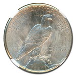1928 Peace Dollar MS-64 NGC