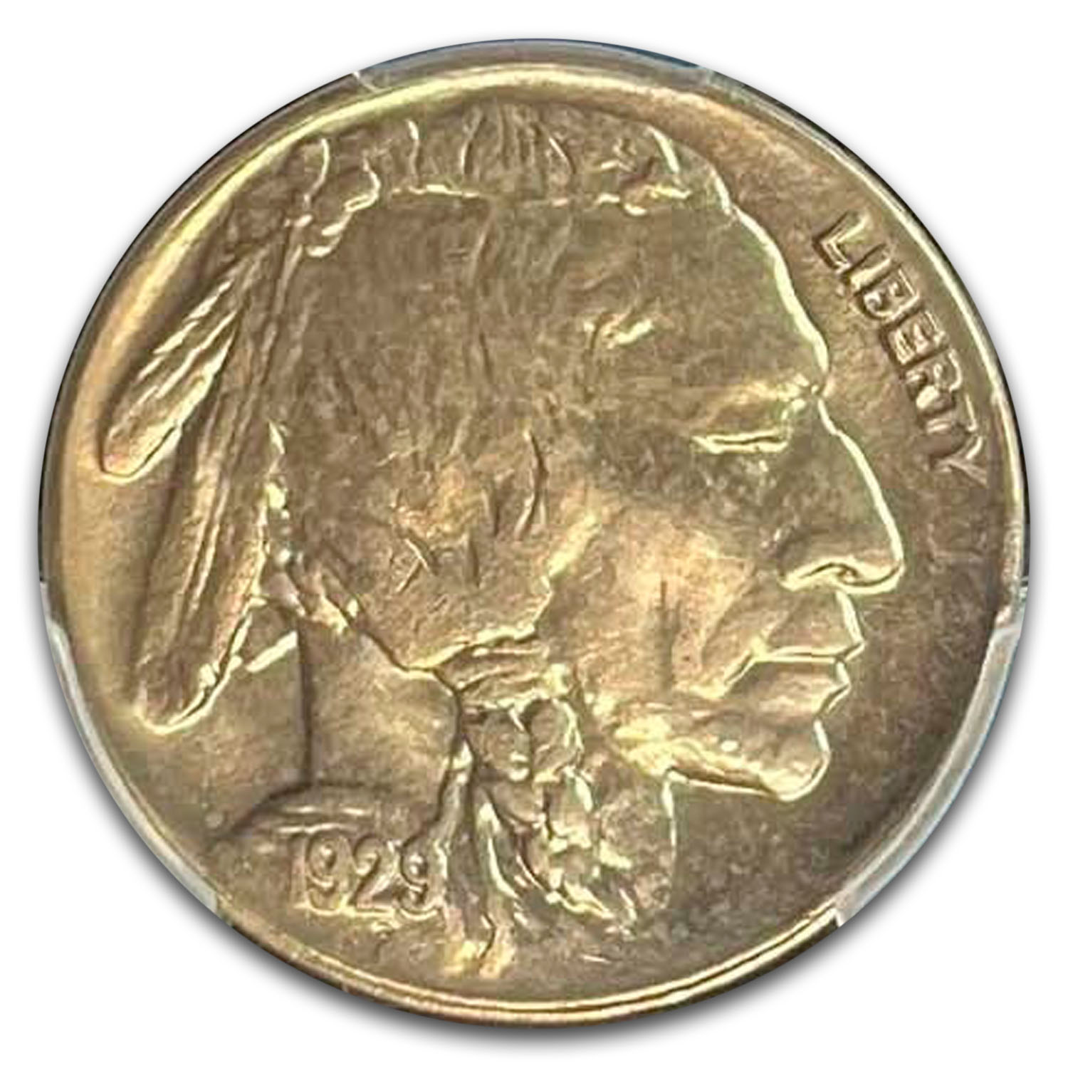 1929 D Buffalo Nickel Value - APMEX