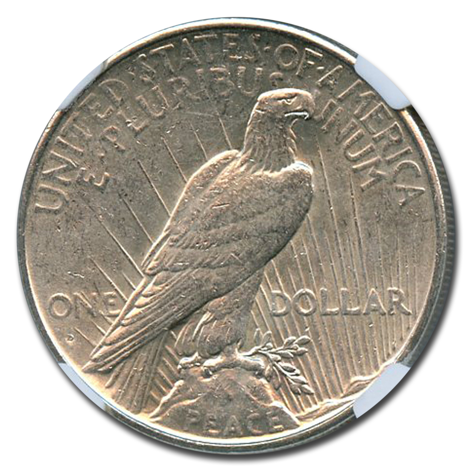 Buy 1934-D Peace Dollar AU-55 NGC | APMEX