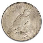 1934-D Peace Dollar MS-63 NGC