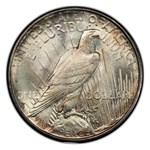1934-D Peace Dollar MS-66+ PCGS (Toned)