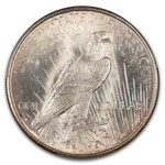1934-D Peace Dollar MS-66 PCGS