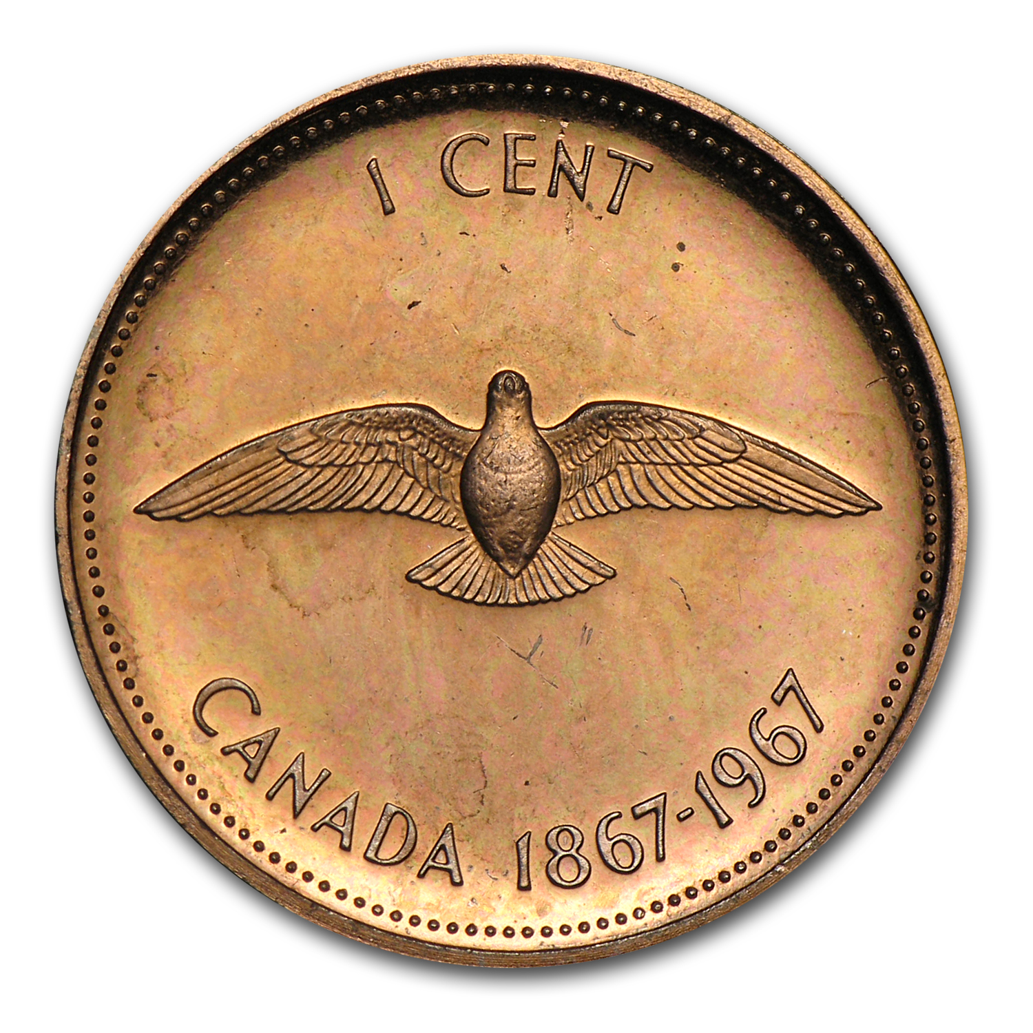 Canada 2017 Gold Plated Fine Silver 1967 Rock Dove Proof Small Cent Penny!! 