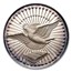 1976 Hamilton Mint Spirit of America Silver Art Medal Set of 12