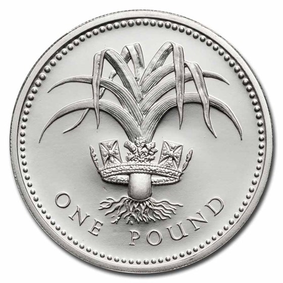 1983-2002 United Kingdom Silver £1 Proof