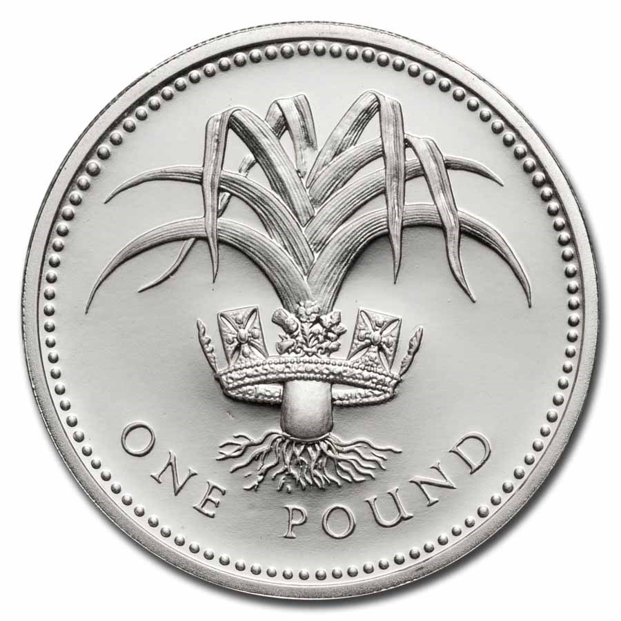 1983-2002 United Kingdom Silver £1 Proof