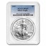 1986-2025 41-Coin Silver Eagle Set MS-69 PCGS (w/PCGS Boxes)