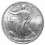 1986-Current Silver Eagle MS-69 NGC/PCGS (Random Year, Spotted)