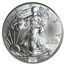 1986-Current Silver Eagle MS-70 NGC/PCGS (Random Year, Spotted)