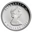 1989 Canada 1/10 oz Platinum Maple Leaf Proof