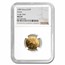 1989 China 1/10 oz Gold Panda Large Date MS-69 NGC