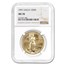 1991 1 oz American Gold Eagle MS-70 NGC