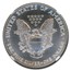 1991 American Silver Eagle MS-69* NGC (Mercanti)