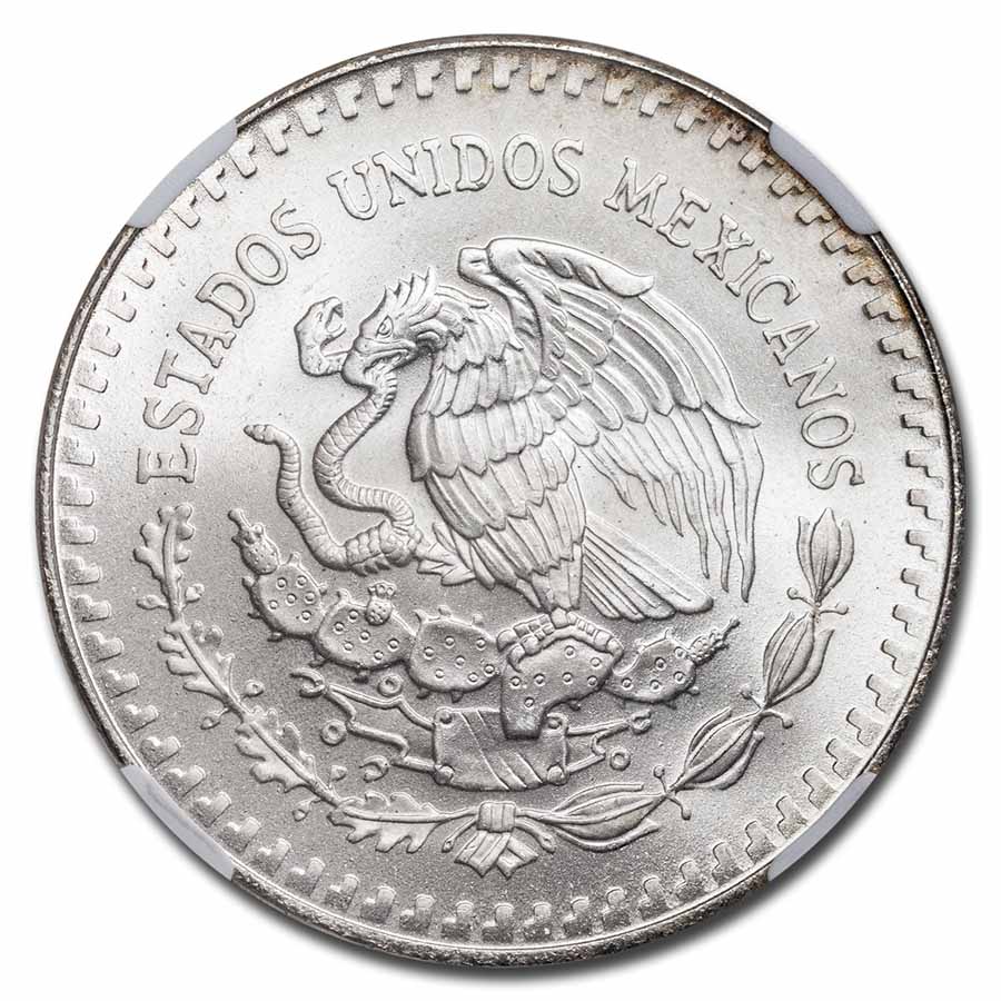 Buy 1991 Mexican 1 oz Silver Libertad Type 1 MS-66 NGC | APMEX