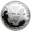 1991-S 1 oz Proof American Silver Eagle (w/Box & COA)