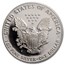 1991-S Proof American Silver Eagle PR-69 PCGS