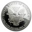 1991-S Proof American Silver Eagle PR-70 PCGS