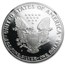 1992-S Proof American Silver Eagle PF-69 NGC (Retro Black Insert)