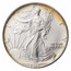 1993 American Silver Eagle MS-67 PCGS (Reverse Toning)