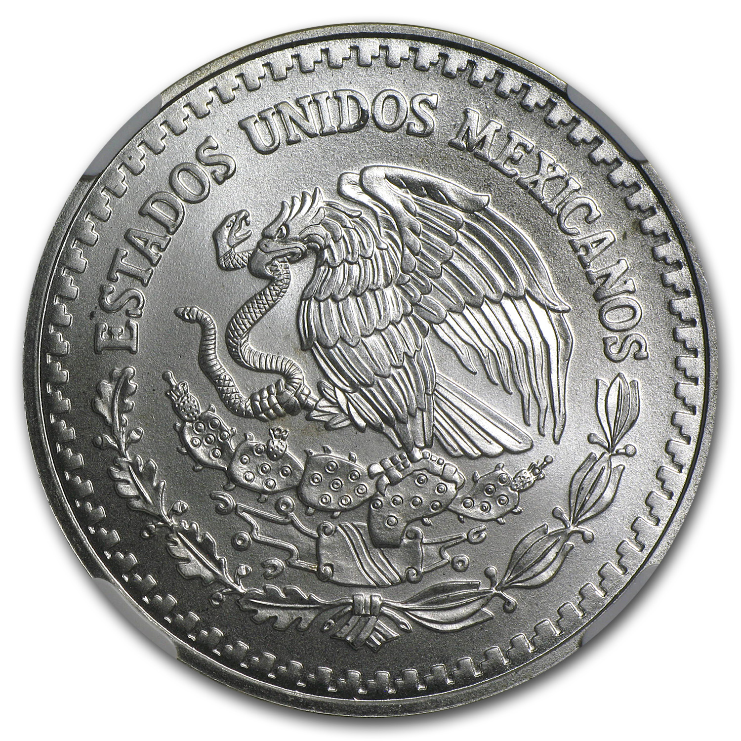 Buy 1993 Mexican 1 oz Silver Libertad MS-69 NGC | APMEX
