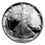 1993-P Proof American Silver Eagle PF-69 NGC (Retro Black Insert)
