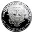 1993-P Proof American Silver Eagle PF-69 NGC (Retro Black Insert)