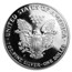 1993-P Proof American Silver Eagle PR-70 PCGS