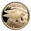 1995-W Gold $5 Commem Olympic Stadium Proof (Capsule Only)