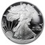 1995-W Proof American Silver Eagle PF-69 NGC (Retro Black Insert)