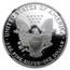 1995-W Proof American Silver Eagle PF-69 NGC (Retro Black Insert)